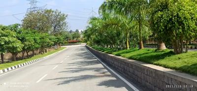 Project Image of 1420.3 - 7688.34 Sq.ft Residential Plot Plot for buy in Sia Elite Serene Palms