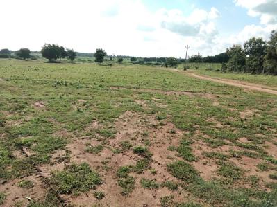 Project Image of 1319.98 - 3657.79 Sq.ft Residential Plot Plot for buy in Building True Greens 3 Phase 2