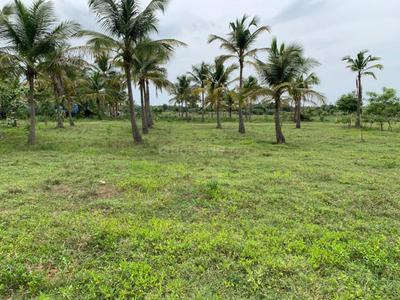 Project Image of 1200.0 - 2352.0 Sq.ft Residential Plot Plot for buy in Sri Arunachaleswarar Nagar