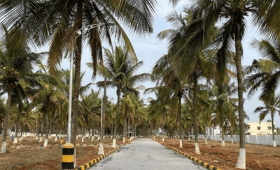 Project Image of 1500 Sq.ft Residential Plot / Land for sale in Marsur for Rs. 7050000