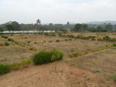 Project Image of 1500.0 - 2400.0 Sq.ft Residential Plot Plot for buy in Greater Eco Vista