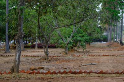 Project Image of 1593.06 - 4389.0 Sq.ft Residential Plot Plot for buy in DRA Ranka Palm Lakeside