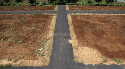 Project Images