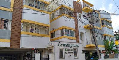 Green Lemon Grass Images for Project 1