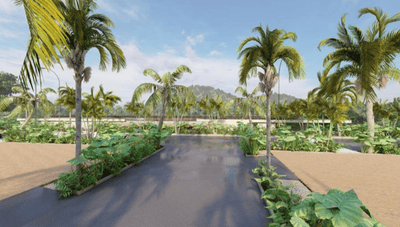 Project Images
