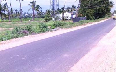 Project Image of 1291.0 - 3306.0 Sq.ft Residential Plot Plot for buy in Annai Sri Srinivasa Nagar