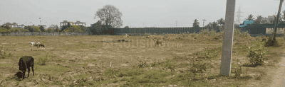 Project Images