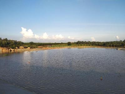 Project Image of 5445.0 - 47157.0 Sq.ft Residential Plot Plot for buy in Bridge Forest Creek