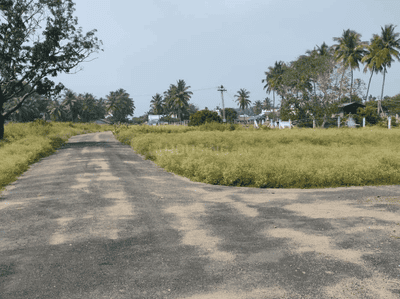 Project Images