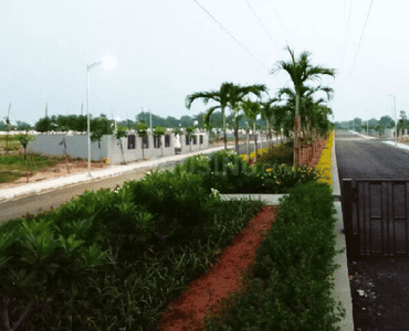 Project Image of 1571.0 - 3536.0 Sq.ft Residential Plot Plot for buy in Sterling Aster