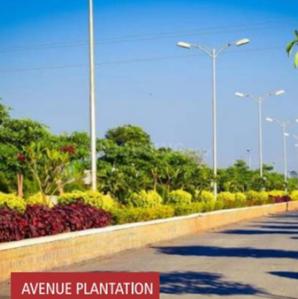 Project Image of 1800.0 - 5400.0 Sq.ft Residential Plot Plot for buy in Googee Pharma City