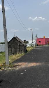 Project Image of 803.0 - 1235.0 Sq.ft Residential Plot Plot for buy in Ammai N P Nagar