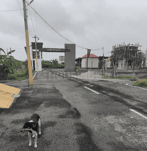 Project Images