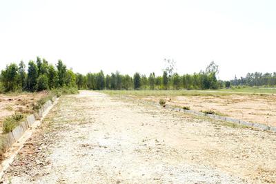 Project Image of 1200.0 - 2400.0 Sq.ft Residential Plot Plot for buy in Maxworth Max Blossom