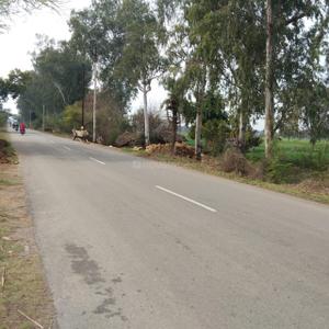 Project Image of 450.0 - 10350.0 Sq.ft Residential Plot Plot for buy in Shubham Jewar City