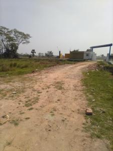 Project Image of 1440.0 - 3600.0 Sq.ft Residential Plot Plot for buy in Trinayan Enclave