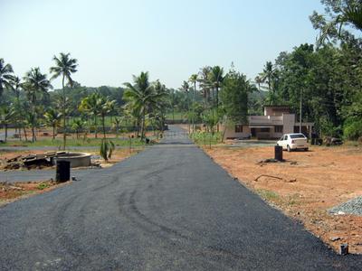 Project Image of 1572.0 - 3571.0 Sq.ft Residential Plot Plot for buy in Coral Gardens