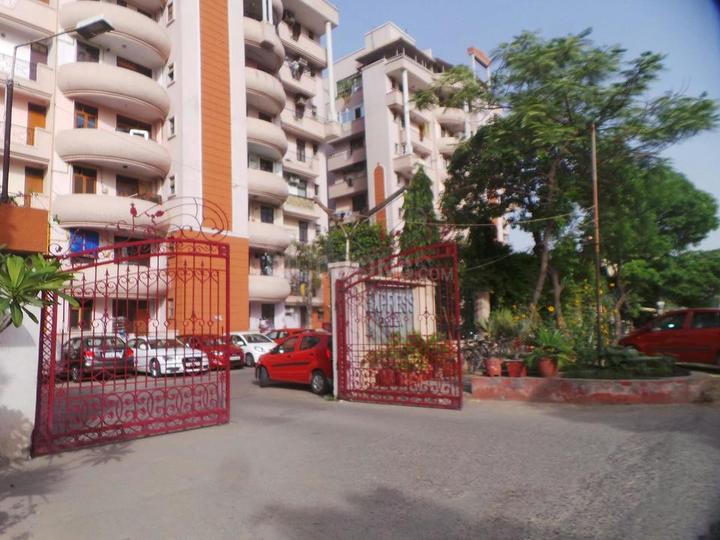 Express Green - Image 3