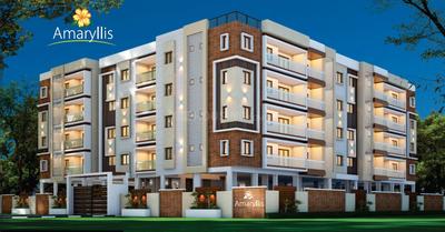 Raki Amaryllis Elevation 2