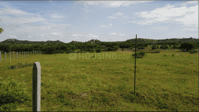 Project Image of 1629.01 - 45000.03 Sq.ft Residential Plot Plot for buy in Aliens Aliens Hub