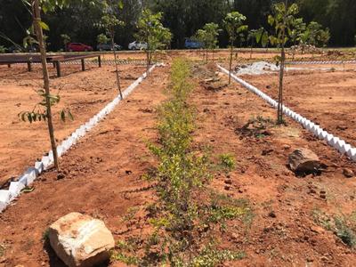 Project Image of 5990.0 - 16335.0 Sq.ft Residential Plot Plot for buy in Adithya DMR Farms