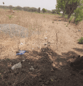 Project Images