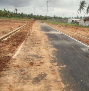 Project Images
