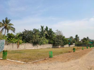 TTM Enterprises Plot 1