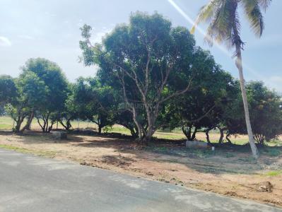 Project Image of 10738.0 - 13878.0 Sq.ft Residential Plot Plot for buy in Sowbhakya Adithya Ram Farm City