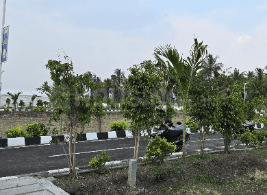 Project Image of 762.0 - 3284.0 Sq.ft Residential Plot Plot for buy in G Square New Town