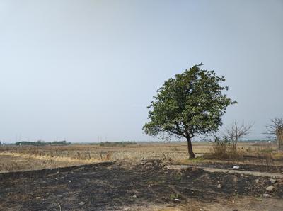 Project Image of 0.0 - 1089.0 Sq.ft Residential Plot Plot for buy in Capstone Land Plots in Ulwe