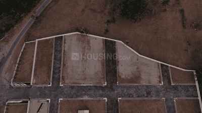 Project Images