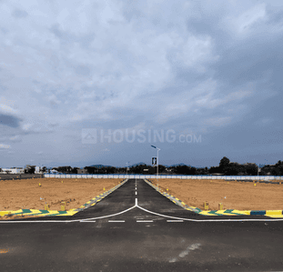 Project Images
