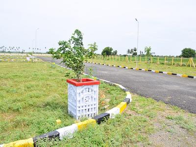 Project Images