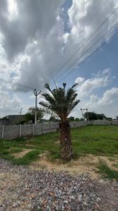 Project Image of 990.0 - 1800.0 Sq.ft Residential Plot Plot for buy in Atharv City