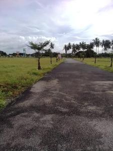 Gallery Cover Pic of Poovai Sri Venkateshwara Nagar