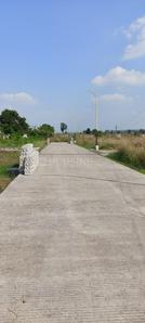 Project Image of 590.0 - 1500.0 Sq.ft Residential Plot Plot for buy in Fortune Golden Panorama