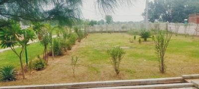 Project Image of 1000.0 - 1500.0 Sq.ft Residential Plot Plot for buy in Semra City