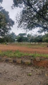 Project Image of 1800.0 - 3600.0 Sq.ft Residential Plot Plot for buy in CK Infini Breeze County