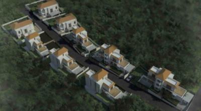 Project Images