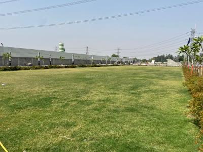 Project Image of 1197.0 - 1602.0 Sq.ft Residential Plot Plot for buy in Golden Gate Residency