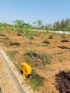 Project Image of 1799.94 - 4769.92 Sq.ft Residential Plot Plot for buy in Vivaan Aroma Gardens