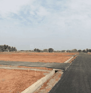 Project Images