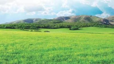 Project Image of 1124.0 - 10000.0 Sq.ft Residential Plot Plot for buy in Ranjeet SS Teak County Phase 2