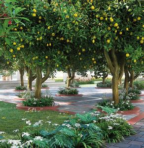 Project Image of 2350.0 - 3200.0 Sq.ft 3.5 BHK Apartment for buy in ATS Homekraft Pious Orchards