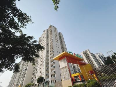 Project Image of 1100.0 - 2760.0 Sq.ft 2 BHK Apartment for buy in AVS Orchard