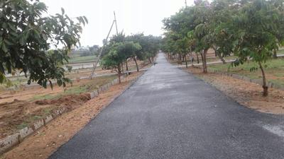 Project Image of 1050.0 - 4800.0 Sq.ft Residential Plot Plot for buy in NBR Meadows