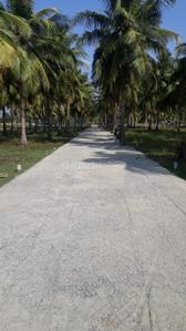Project Image of 600.0 - 4800.0 Sq.ft Residential Plot Plot for buy in Accord Ranch City