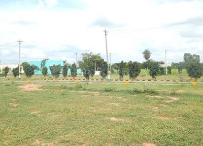 Enrich Up Town Elevation 1