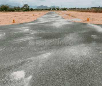 Project Images